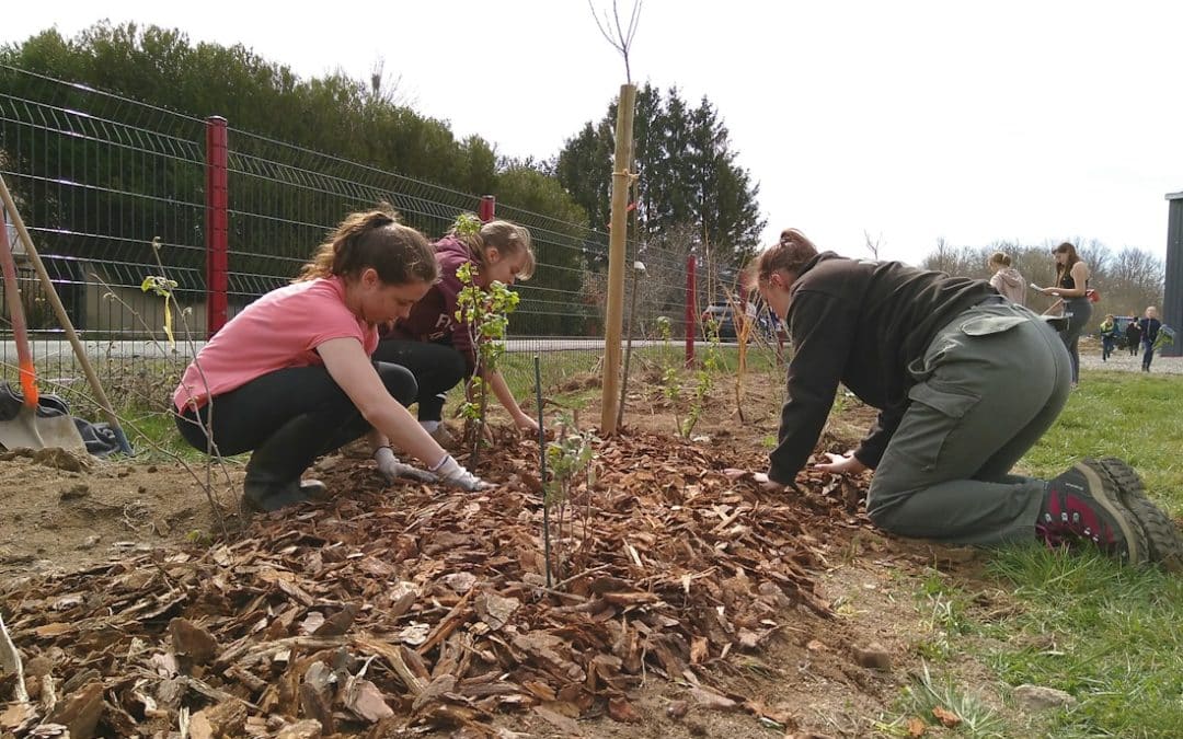 11 arbres, 130 arbustes, 200 herbacées, 50 écoliers, 30 lycéens et….