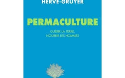 Interview dépaysante et rafraichissante : Charles Hervé-Gruyer