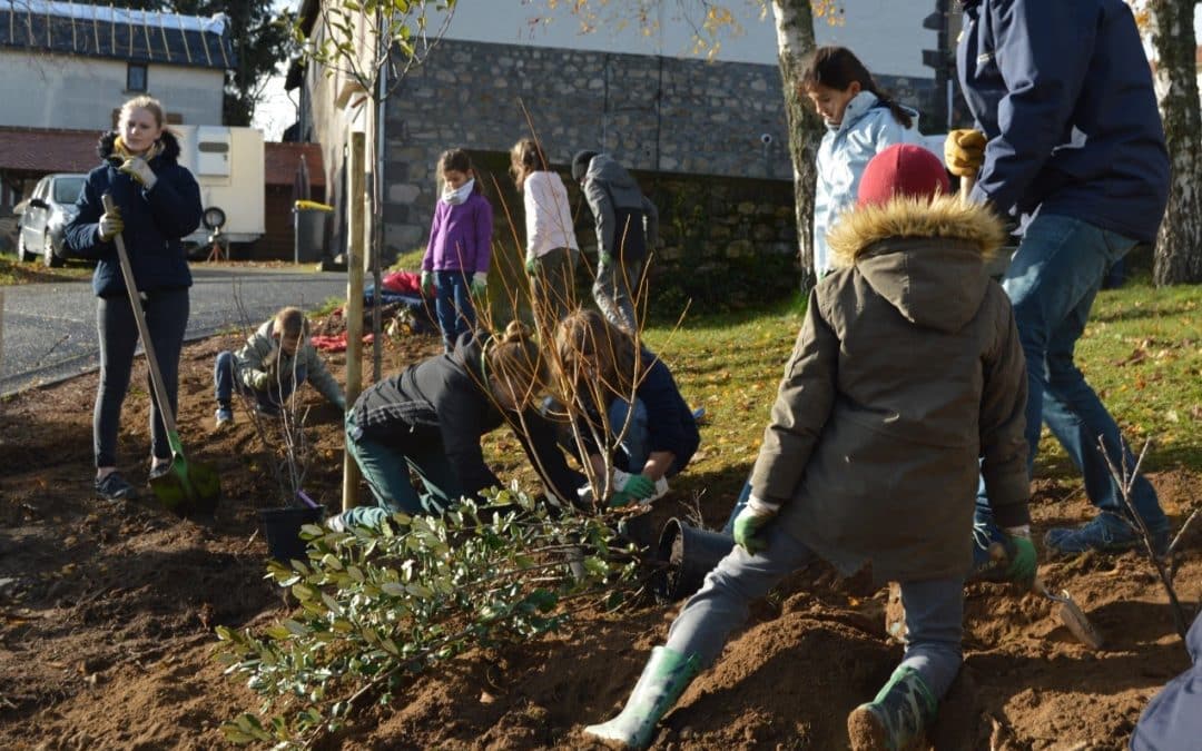 Une 2ème session de plantation de haies fruitières à Loubeyrat réussie !