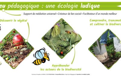 Notre jeu de cartes « Permaguilde » lauréat 2022 du Budget Écologique Citoyen !